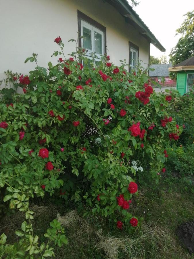 Kica Kroga Apartaments Ainaži Dış mekan fotoğraf
