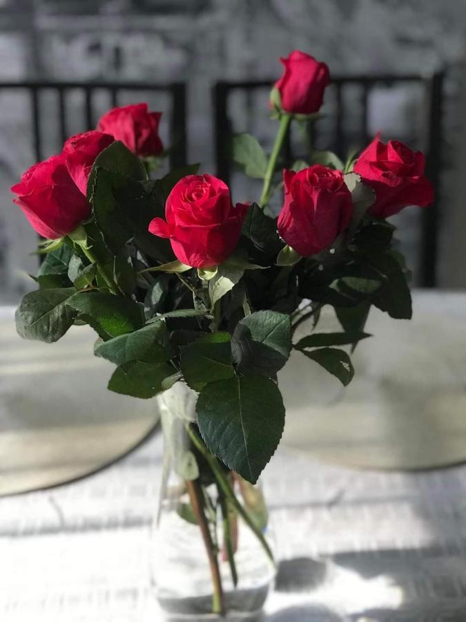 Kica Kroga Apartaments Ainaži Dış mekan fotoğraf