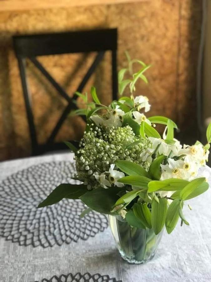 Kica Kroga Apartaments Ainaži Dış mekan fotoğraf