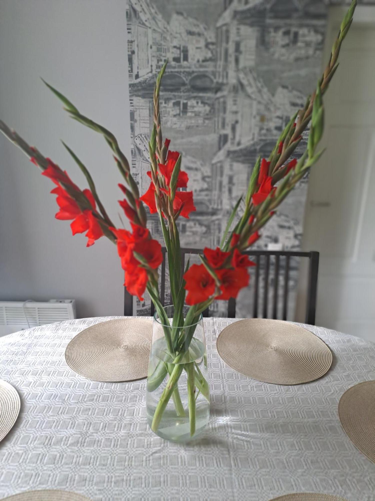 Kica Kroga Apartaments Ainaži Dış mekan fotoğraf